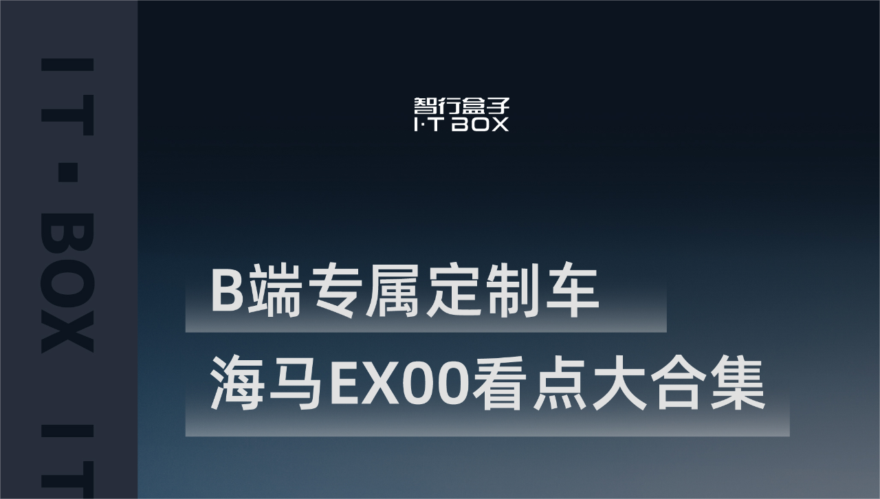 B端专属定制车海马EX00看点大合集